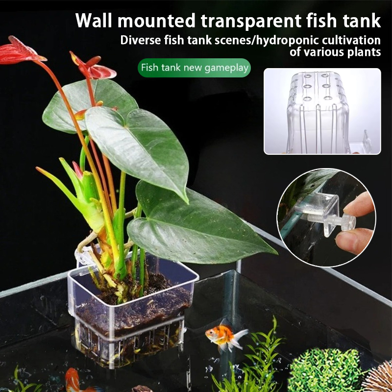 Aquarium Fish Pot - Aquarium Hängepflanzgefäße Wandmontierte Aquatische Pflanzenhalter Aquarium