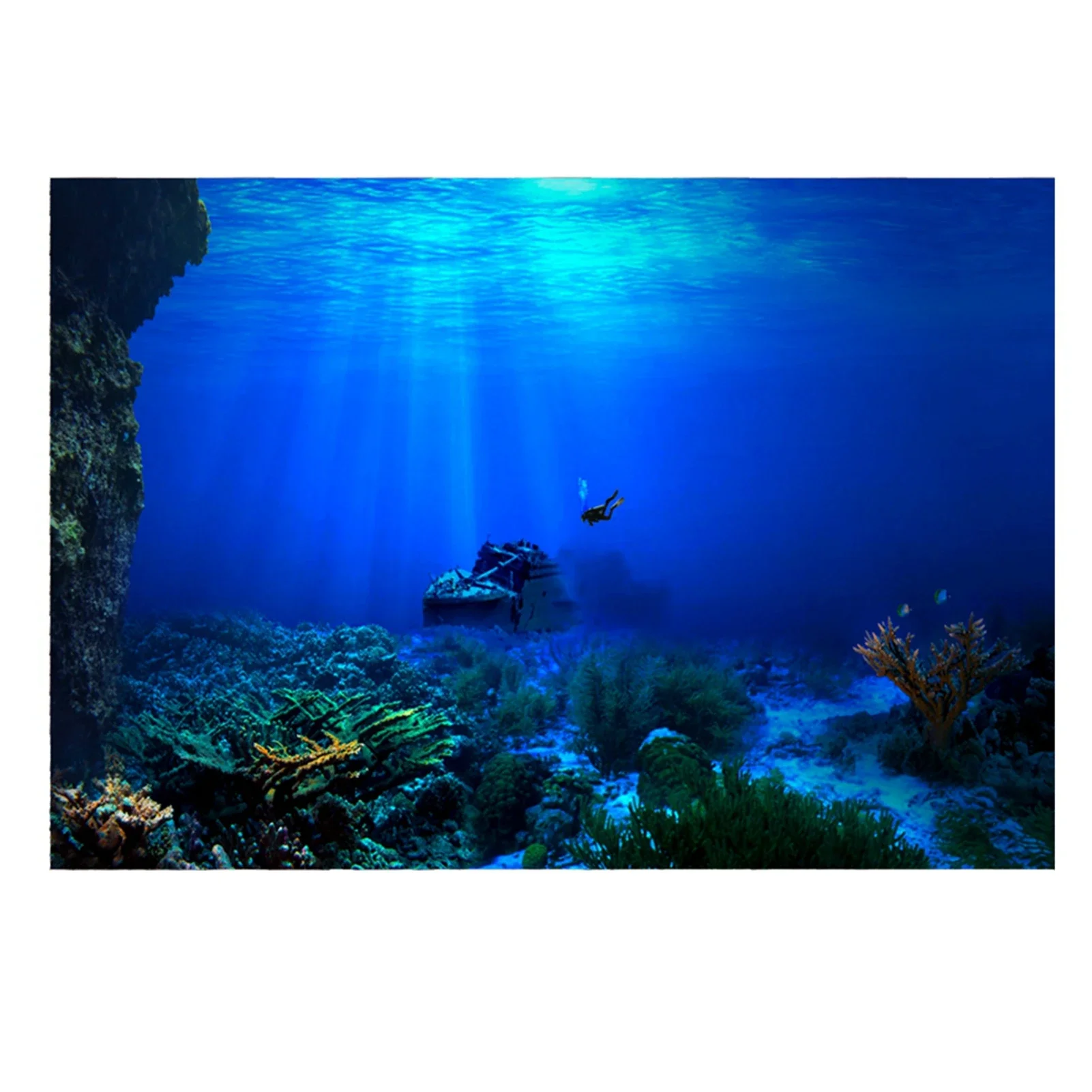 Aquarium Fish Of The World - Regenwald Aquarium Hintergrund Poster Aquarium Reptilien