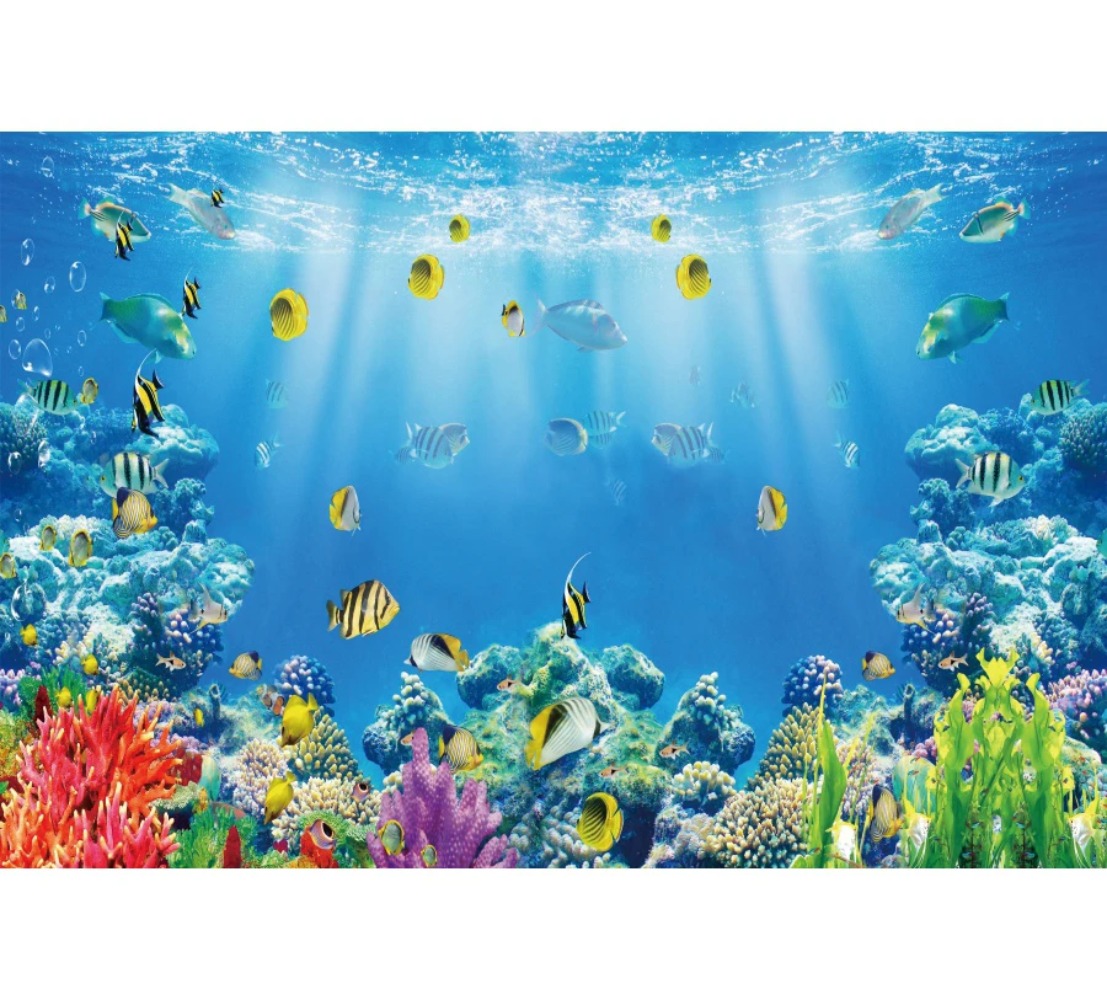 Unterwasserwelt Fisch Korallen – Aquarium Fish Of The World Bewertung und Preis