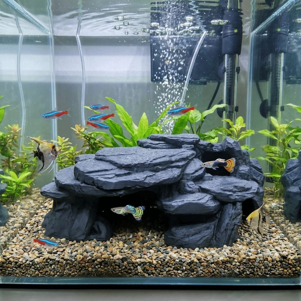 3D-gedruckte Fischbecken-Felse – Aquarium Fish Hideout Bewertung und Preis