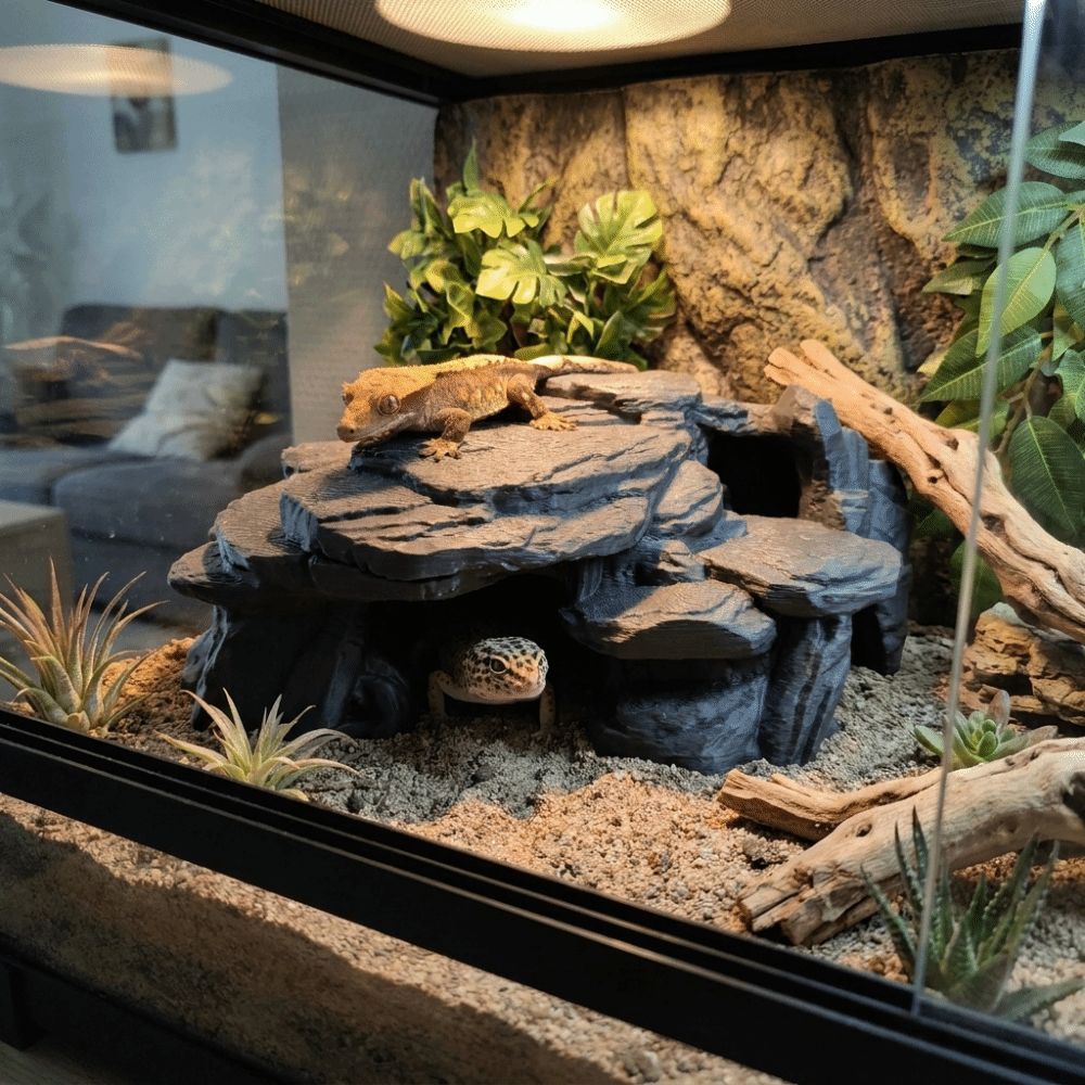 3D-gedruckte Fischbecken-Felse – Aquarium Fish Hideout Bewertung und Preis