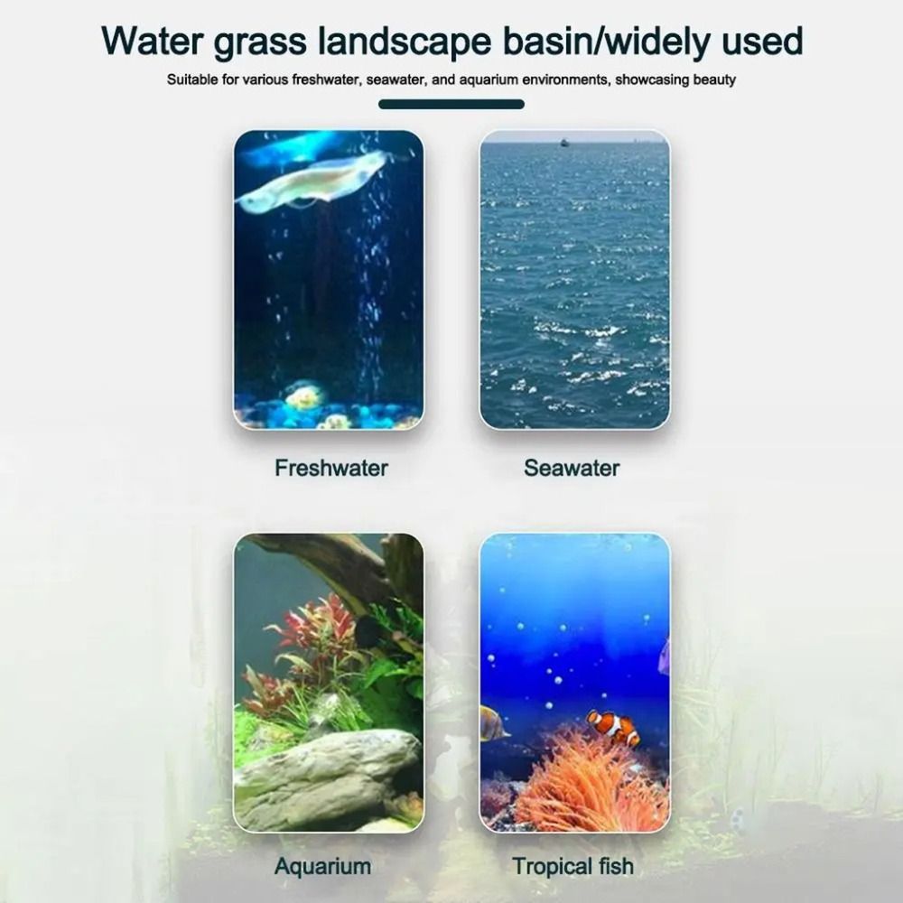 10 Stück Transparente Hydrokul – Aquarium Fish Hideout Bewertung und Preis