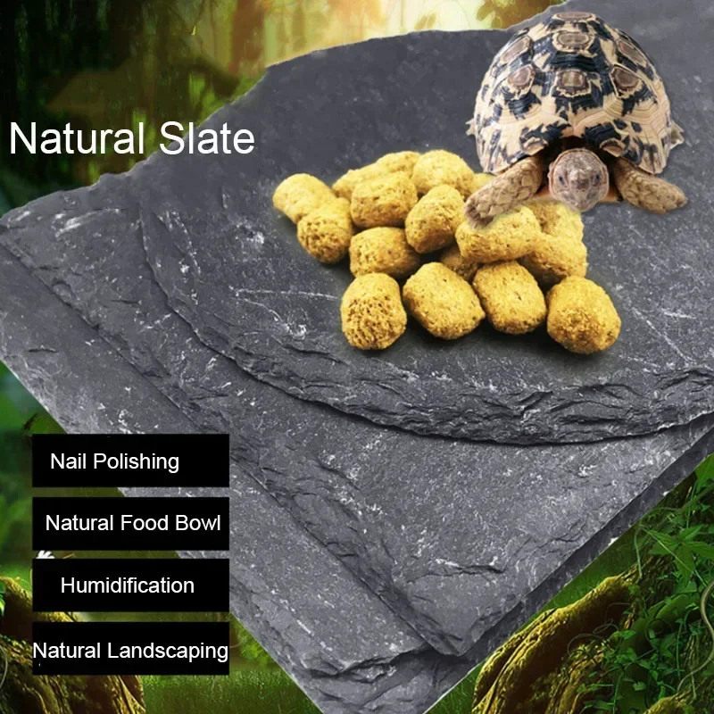 Natürliche Schiefer Aquarium H – Aquarium Fish Pot Bewertung und Preis