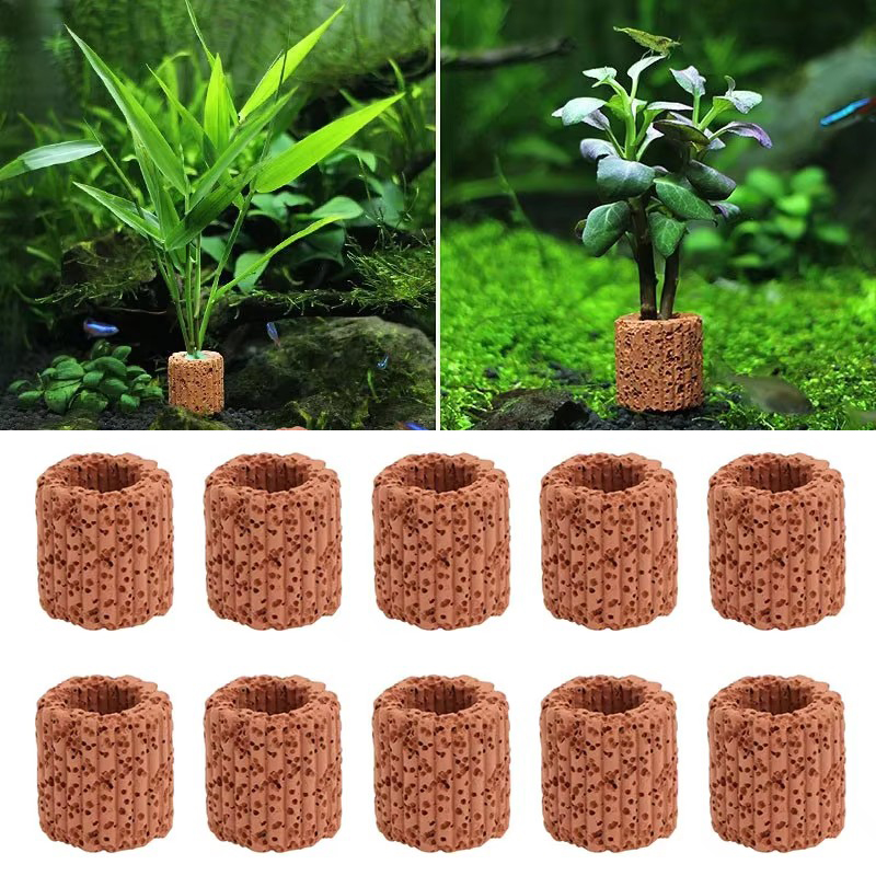 Fester Ring für Wasserpflanzen – Aquarium Fish Pot Bewertung und Preis