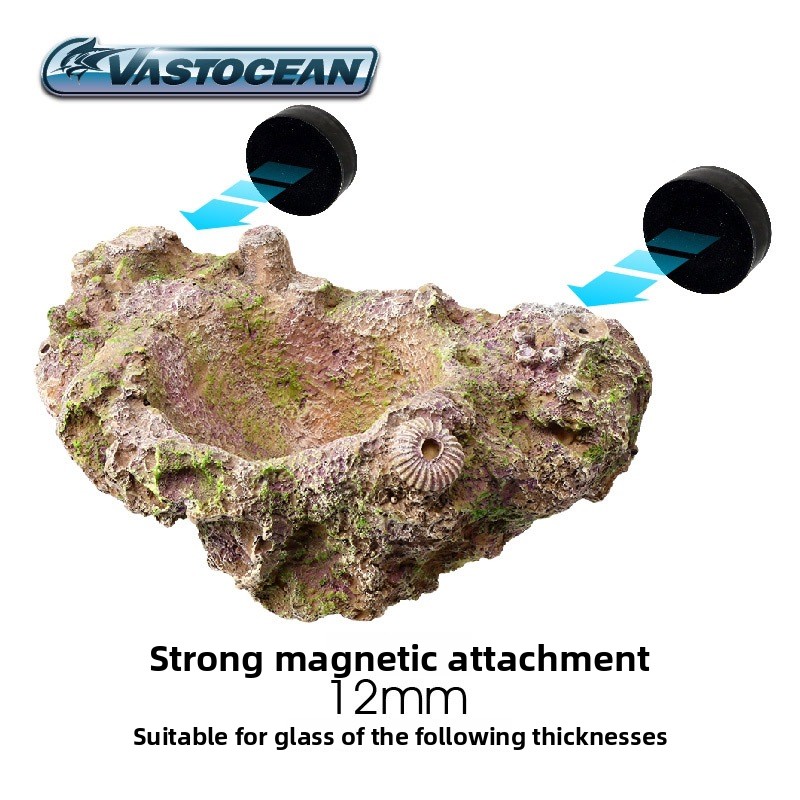 VASTOCEAN Magnetischer Anemone – Aquarium Fish Hideout Bewertung und Preis
