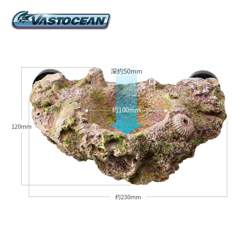 VASTOCEAN Magnetischer Anemone – Aquarium Fish Hideout Bewertung und Preis