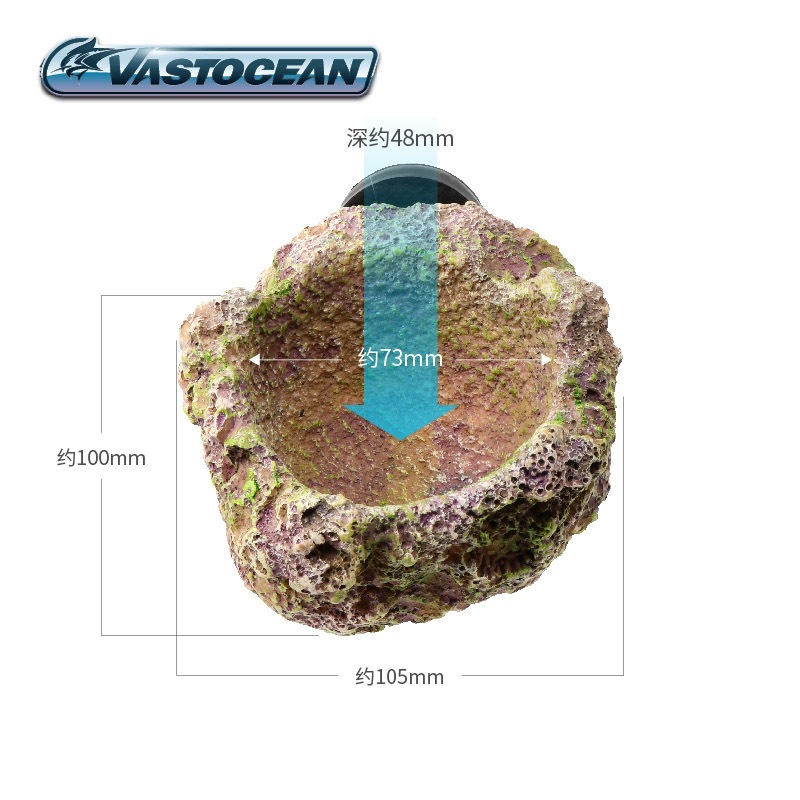 VASTOCEAN Magnetischer Anemone – Aquarium Fish Hideout Bewertung und Preis
