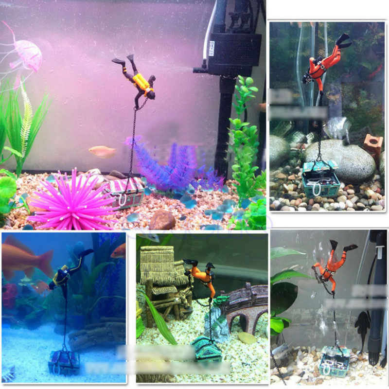 Schatz-Froschmann Aquarium-Dek – Aquarium Fish Of The World Bewertung und Preis