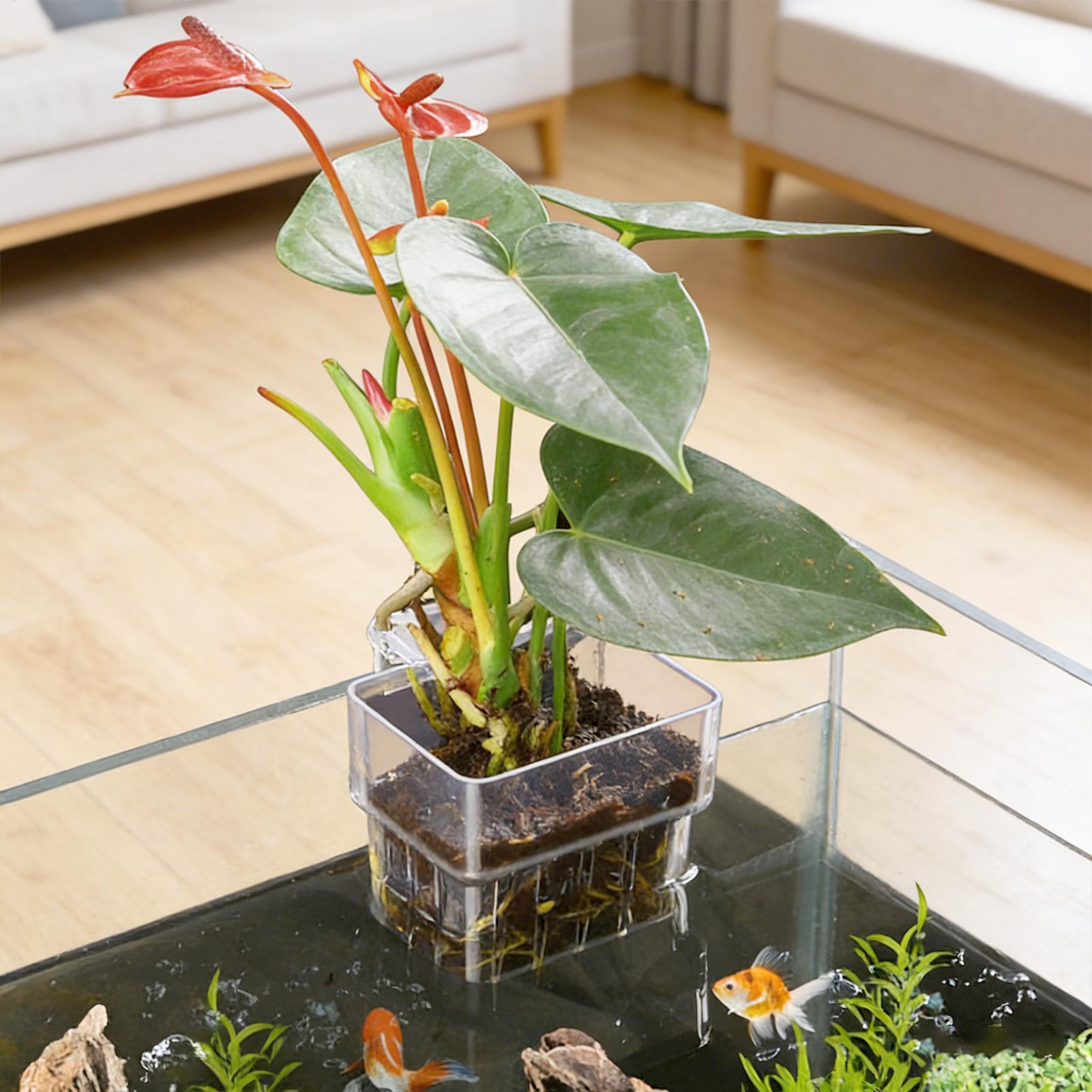Aquarium-Pflanzenkorb Transpar – Aquarium Fish Pot Bewertung und Preis
