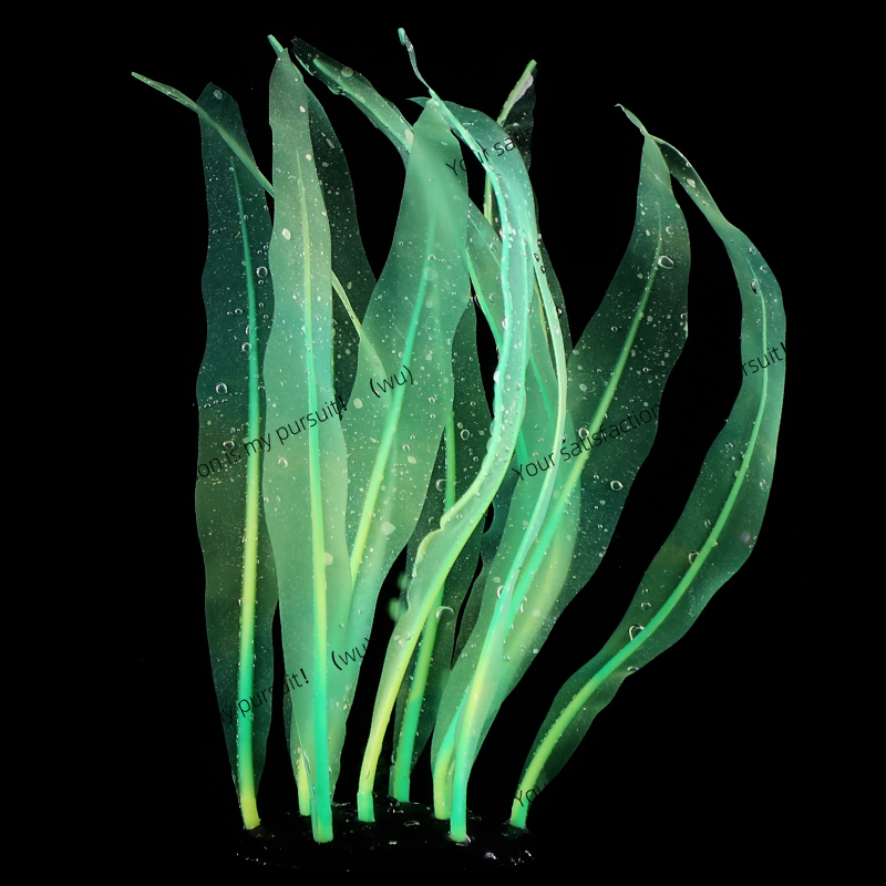 Simulierte Kelp-Pflanzendekora – Aquarium Fish Of The World Bewertung und Preis