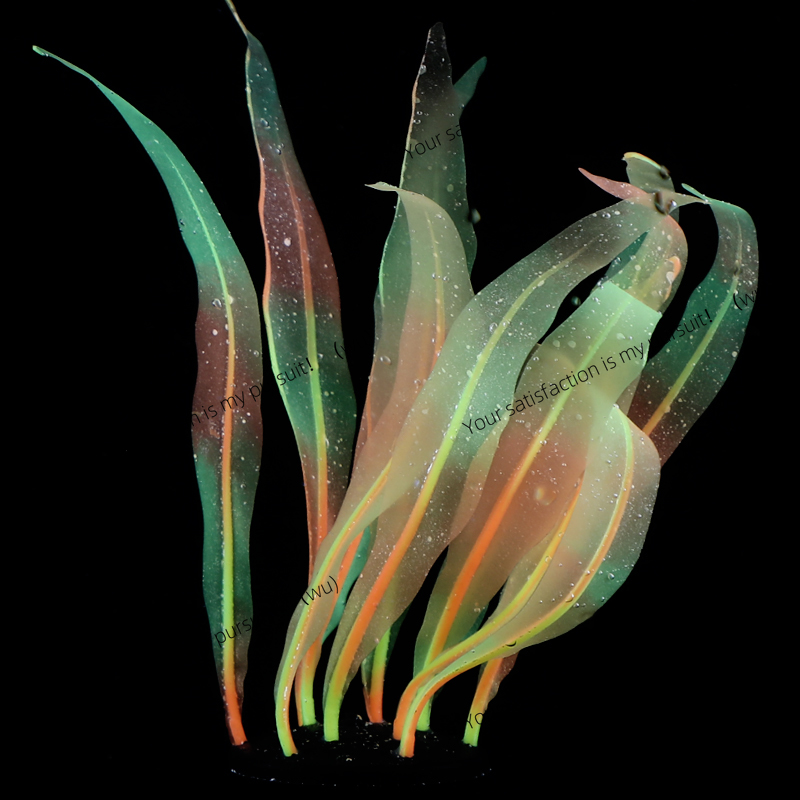 Simulierte Kelp-Pflanzendekora – Aquarium Fish Of The World Bewertung und Preis