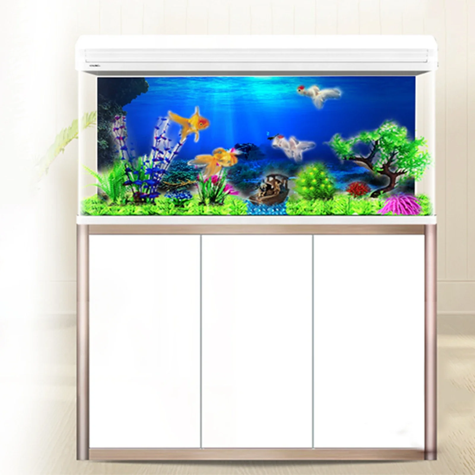 Regenwald Aquarium Hintergrund – Aquarium Fish Of The World Bewertung und Preis