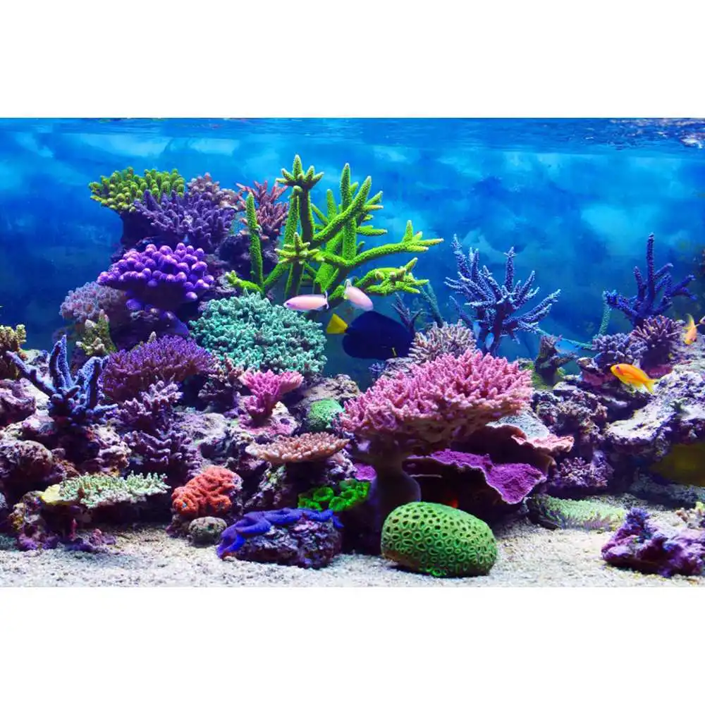 Unterwasserwelt Meeresgrund-Hi – Aquarium Fish Of The World Bewertung und Preis
