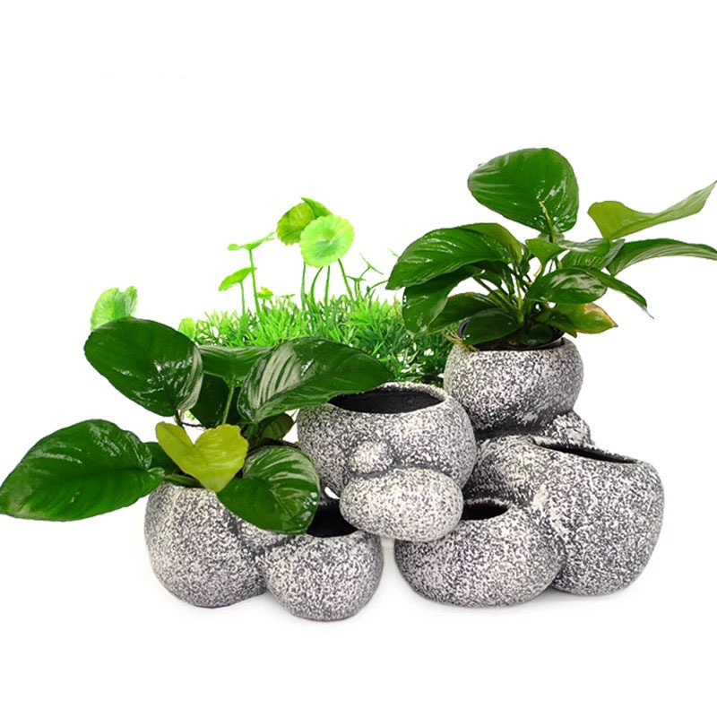Fisch Garnelen Inkubation Shel – Aquarium Fish Pot Bewertung und Preis