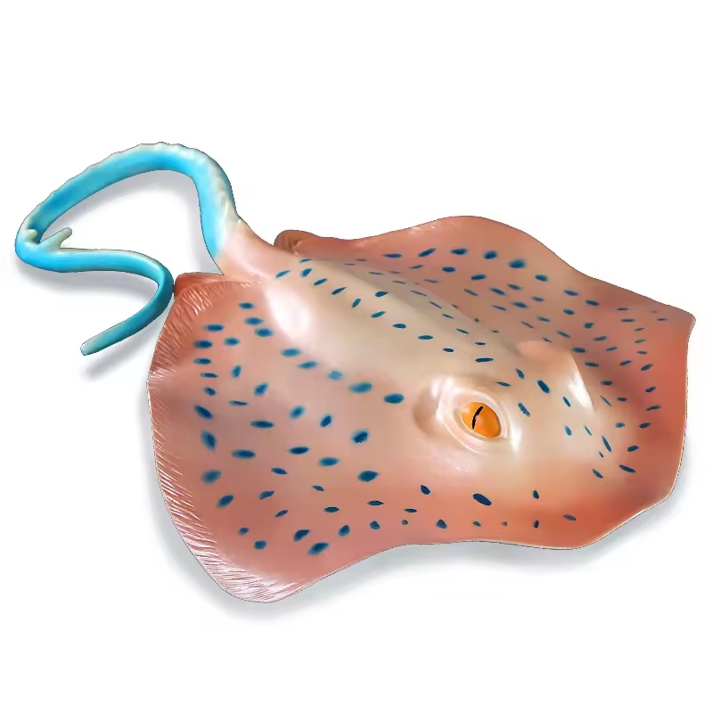 Simuliertes Meerestier-Modell  – Aquarium Fish Of The World Bewertung und Preis