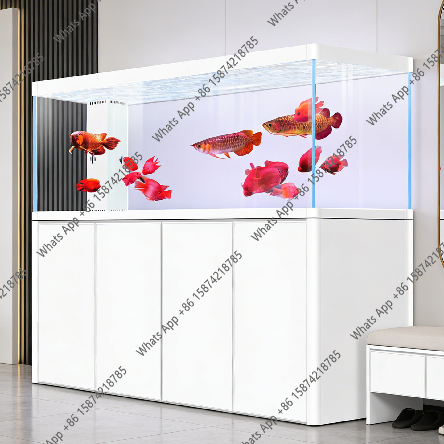 Neues ultraweißes Aquarium mit – Aquarium Xxl Bewertung und Preis