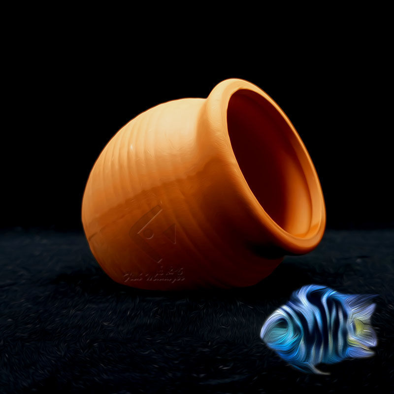 Aquarium Mini Keramik Tank Fis – Aquarium Fish Pot Bewertung und Preis