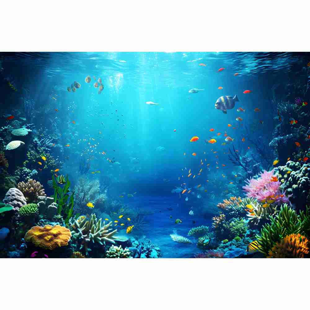 Unterwasser Ozean Welt Fotogra – Aquarium Fish Of The World Bewertung und Preis