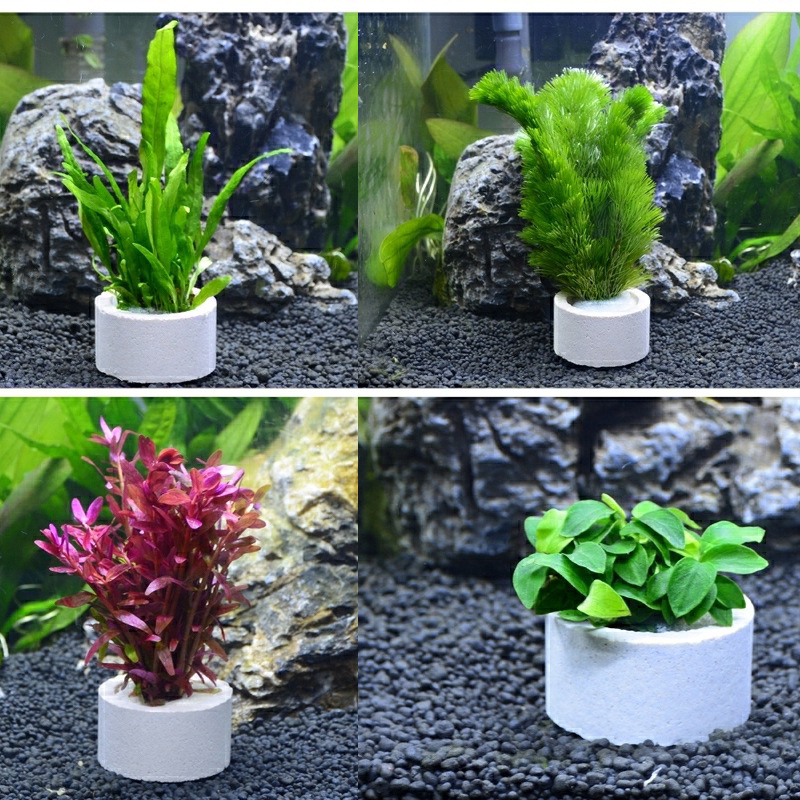 Aquarium Dekoration Keramik Ri – Aquarium Fish Pot Bewertung und Preis