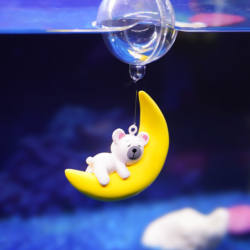 Aquarium-Liebhaber Mondbär-Tau – Aquarium Fish Of The World Bewertung und Preis
