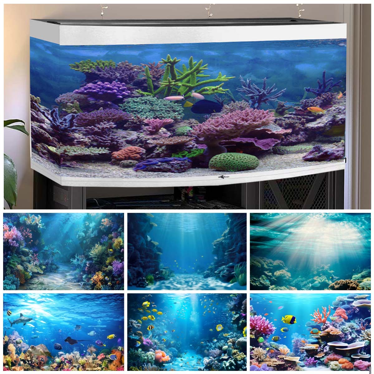 Unterwasserwelt-Hintergründe f – Aquarium Fish Of The World Bewertung und Preis