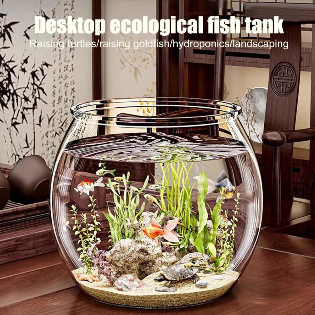Durchsichtiger runder Fischsch – Aquarium Fish Pot Bewertung und Preis