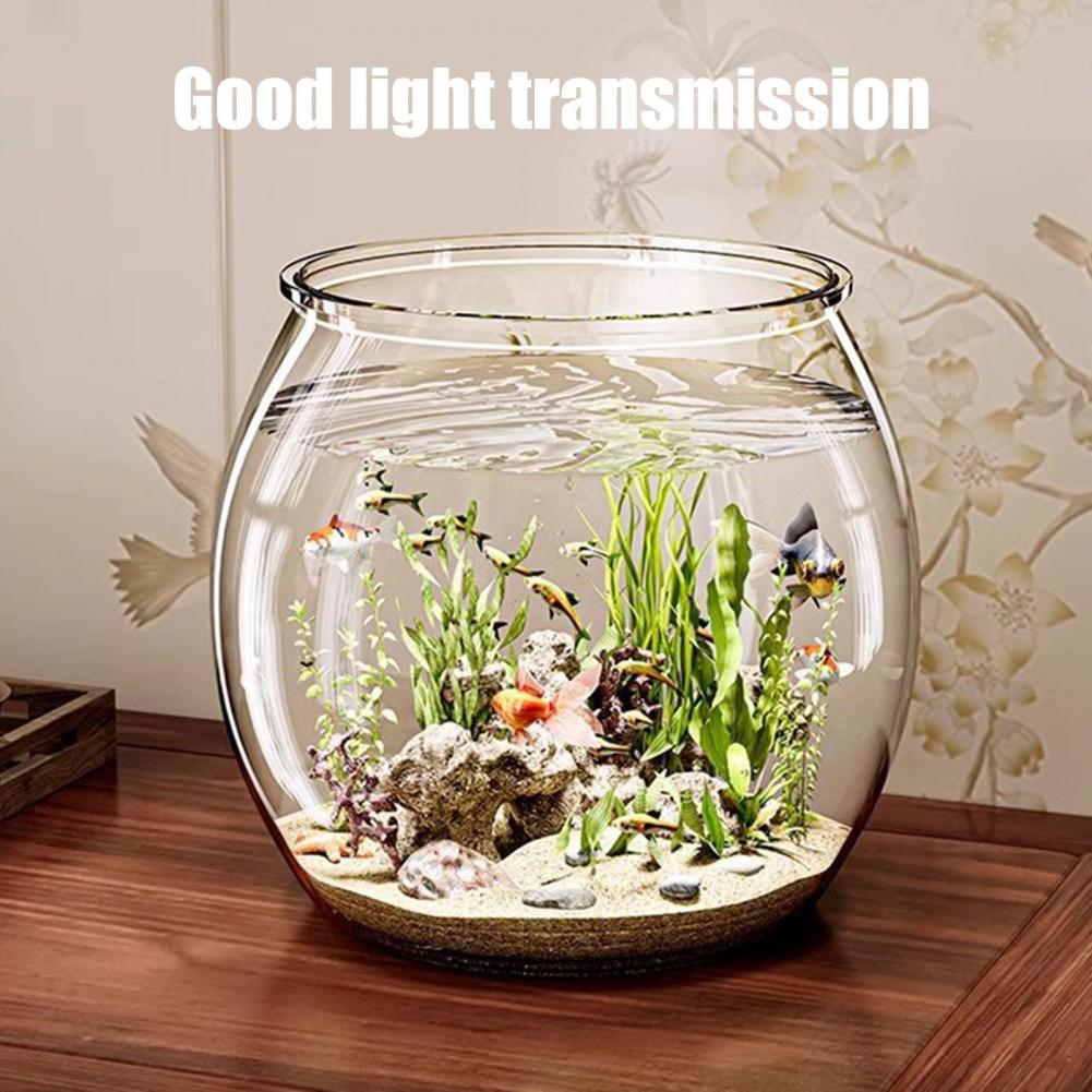 Durchsichtiger runder Fischsch – Aquarium Fish Pot Bewertung und Preis