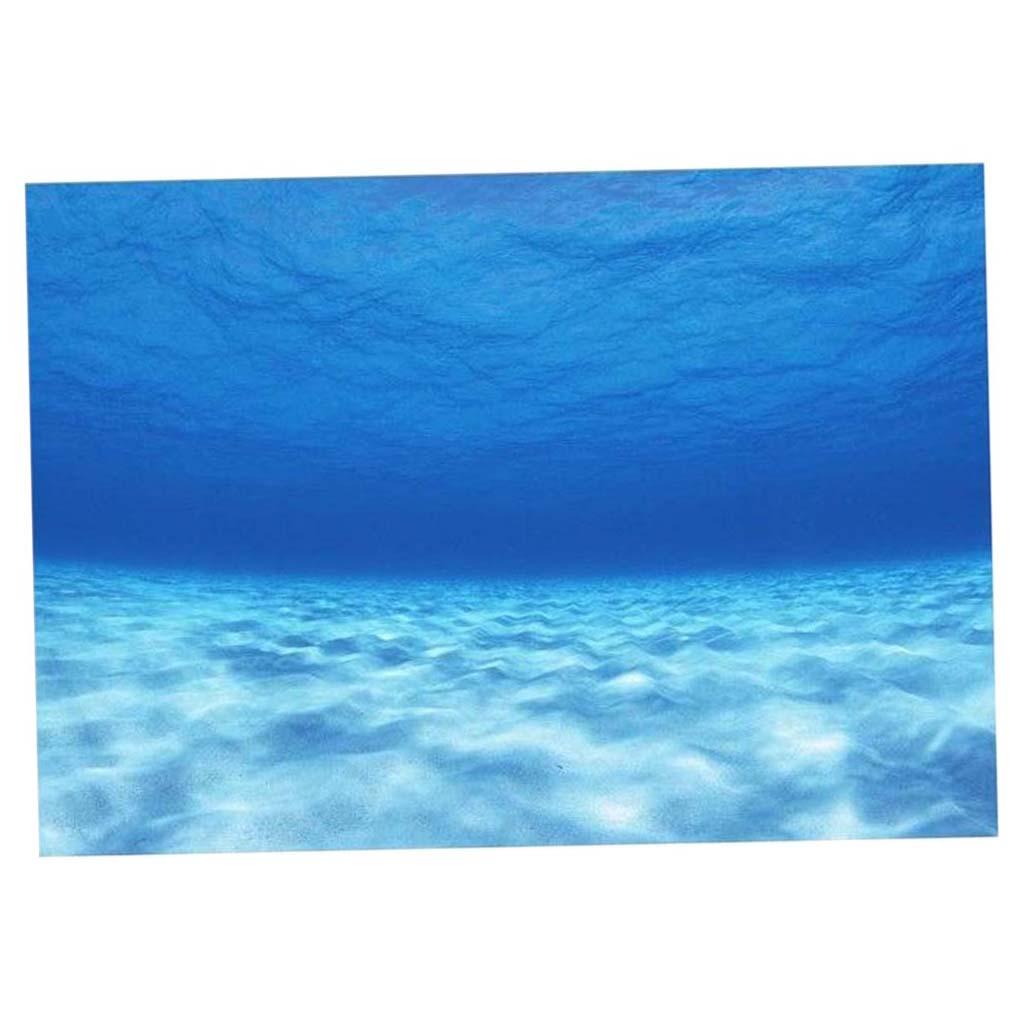 Seite dekorative Aquarium Hint – Aquarium Fish Of The World Bewertung und Preis