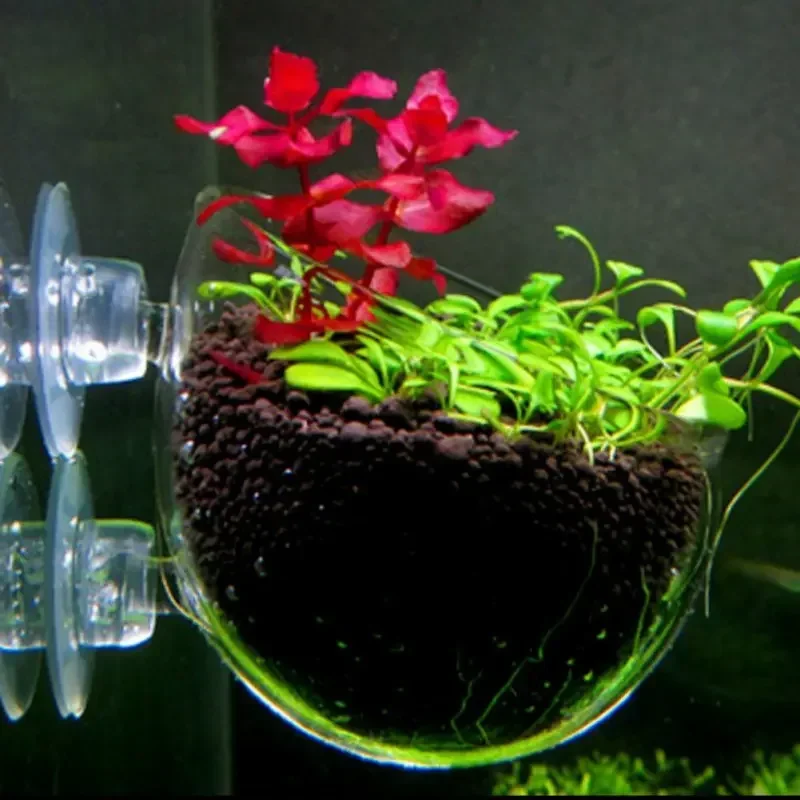 Transparenter Aquarien-Blument – Aquarium Fish Pot Bewertung und Preis