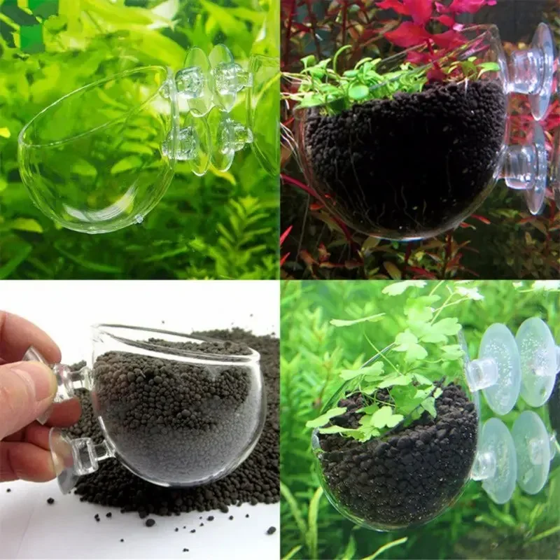 Transparenter Aquarien-Blument – Aquarium Fish Pot Bewertung und Preis
