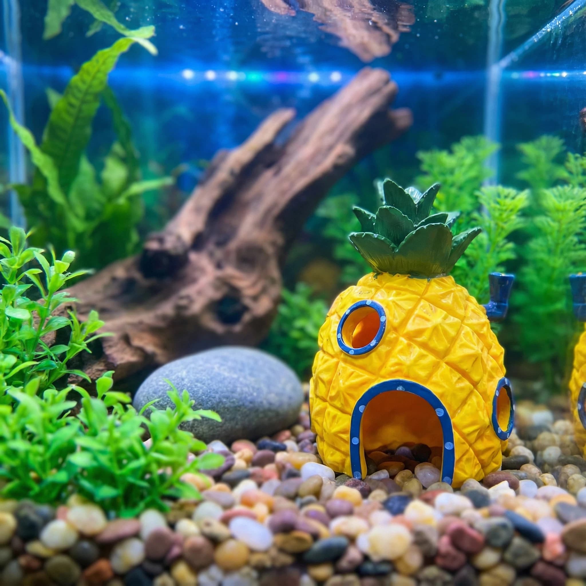 Ananas-Haus-Aquarium-Dekoratio – Aquarium Fish Hideout Bewertung und Preis