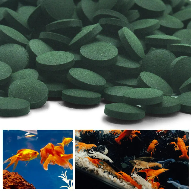 100-1500 Stück Hochreine Spiru – Aquarium Fish Enrichment Bewertung und Preis