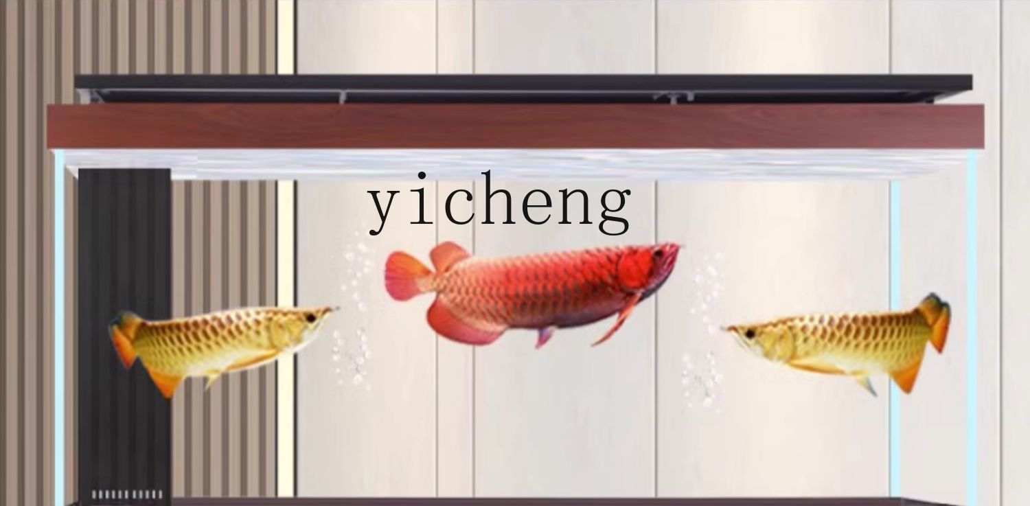 X8 Arowana-Aquarium mit Bodenf – Aquarium Xxl Bewertung und Preis
