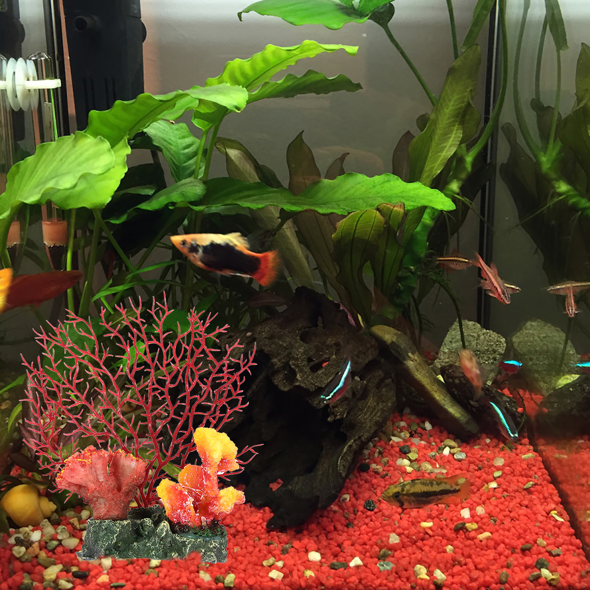 Unterwasser-Korallenornament f – Aquarium Fish Of The World Bewertung und Preis